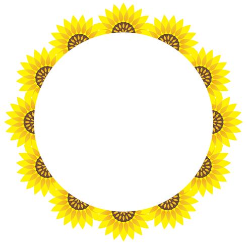 Circular sunflower frame with text space.  vector