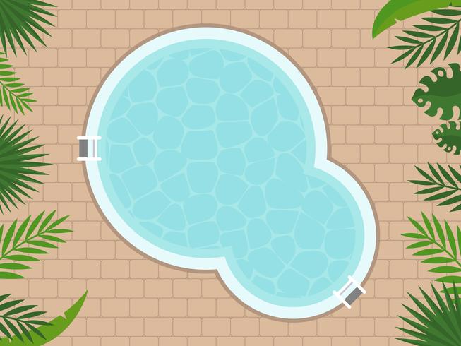 Vacaciones de verano, vista superior piscina vector