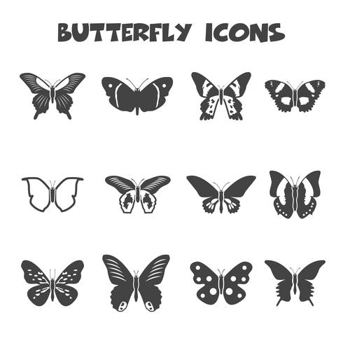 símbolo de los iconos de mariposa vector