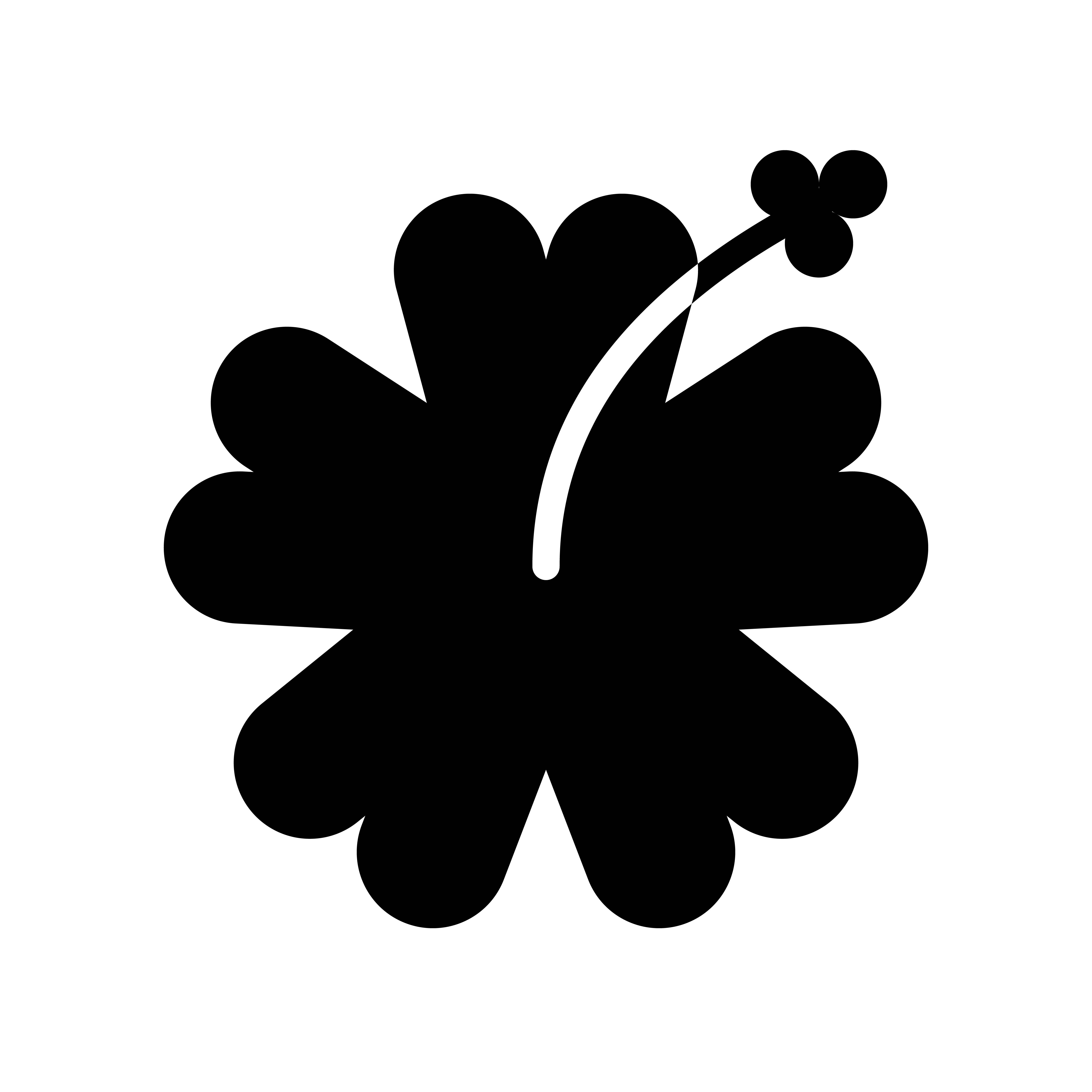 Hibiscus vector, tropical related solid style icon 630089 Vector Art at