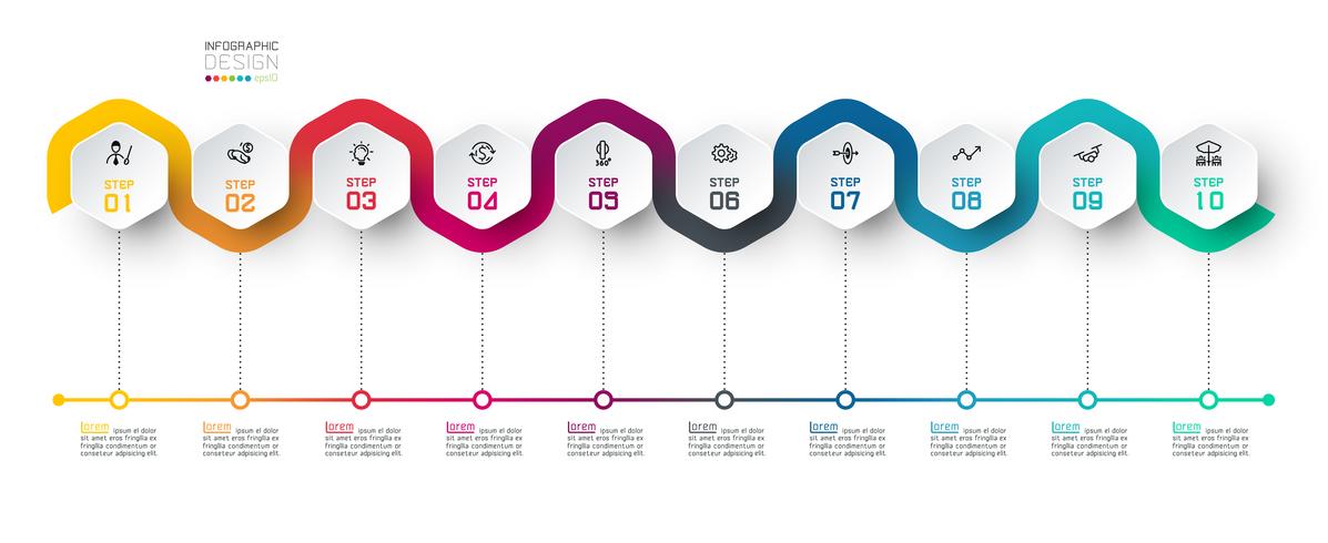 Hexagon label with color line linked infographics. vector