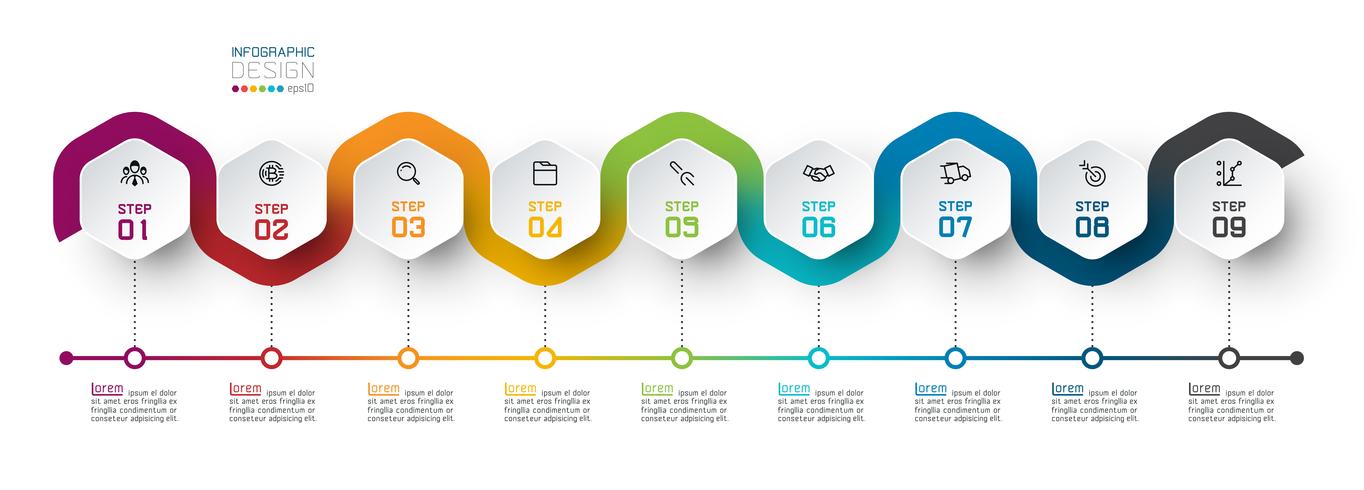 Hexagon label with color line linked infographics. vector