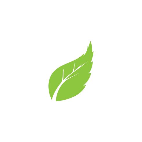 Logos of green Tree leaf ecology vector