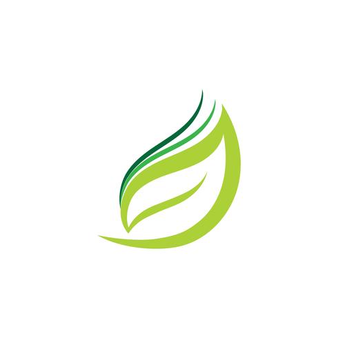 Logotipos de ecología de hoja de árbol verde. vector