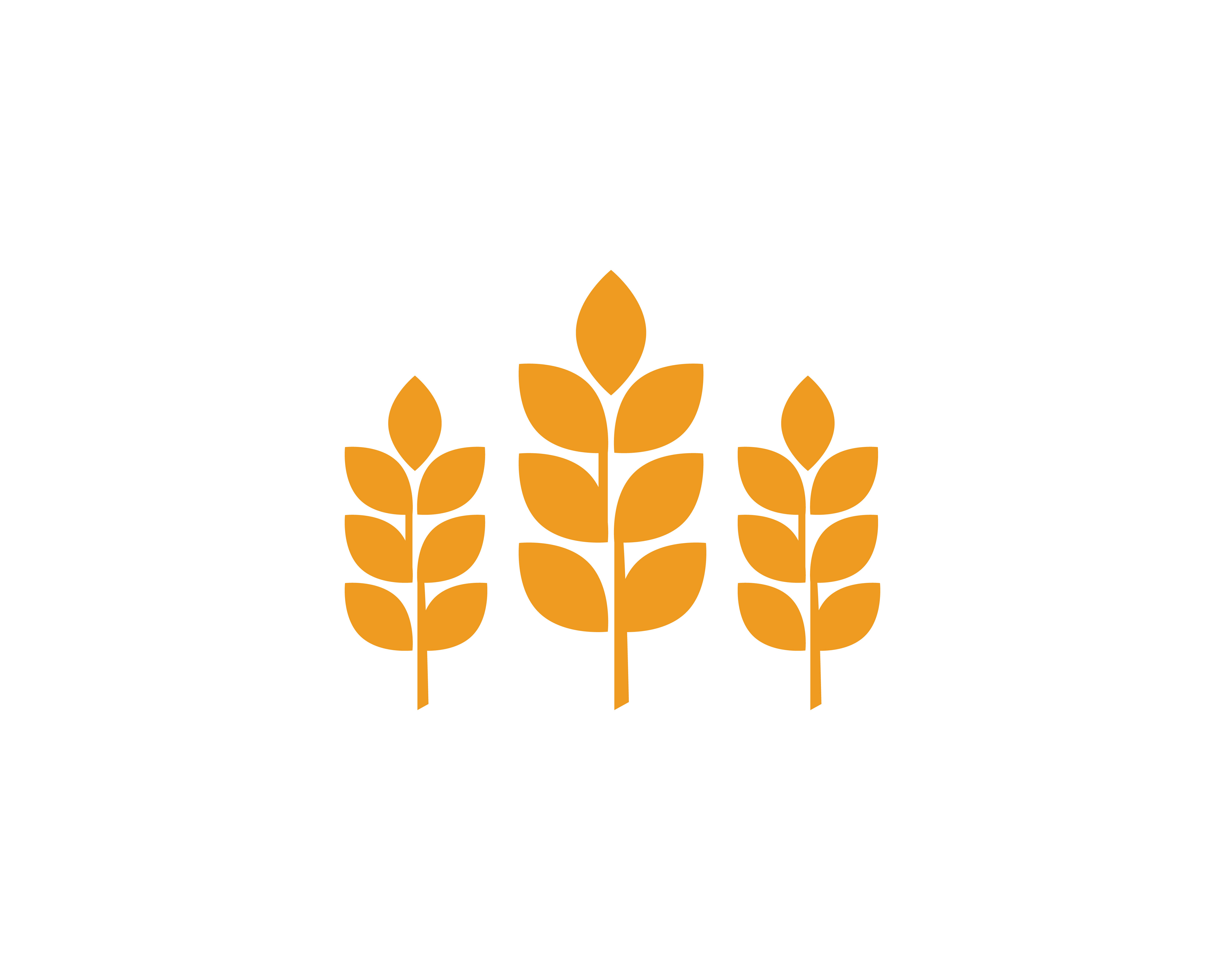 Agriculture wheat Logos 632430 - Download Free Vectors, Clipart