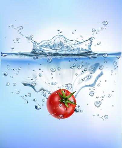 las verduras frescas que salpican en el fondo blanco aislado concepto sano sano azul de la frescura de la dieta de la comida del chapoteo del agua. Ilustración realista del vector. vector