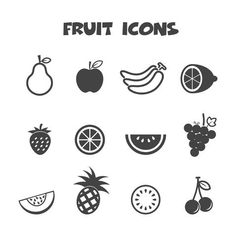 fruit icons symbol vector