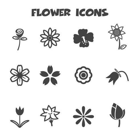 símbolo de los iconos de flor vector