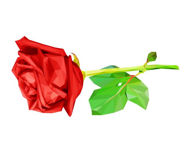 Red polygon rose vector