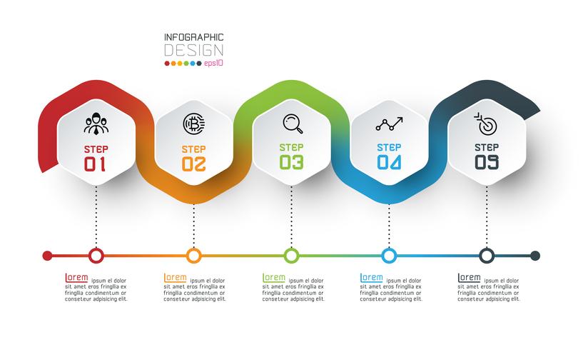 Hexagon label with color line linked infographics. vector