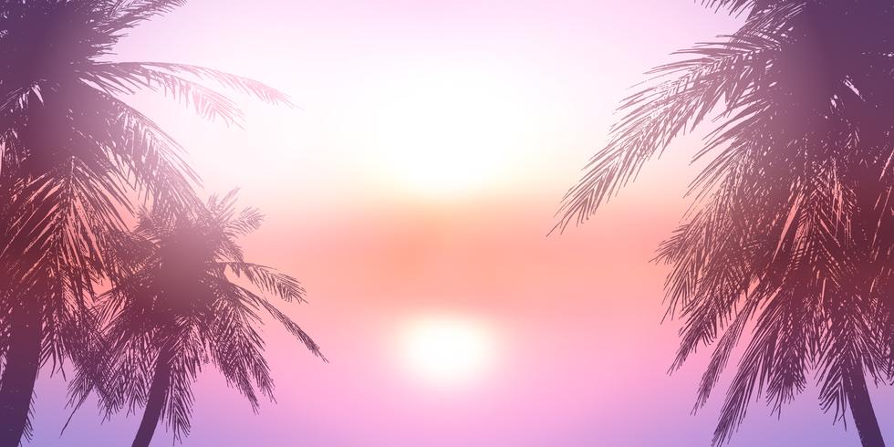 Palm trees against a sunset ocean landscape vector