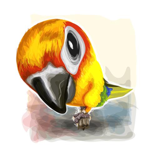 Watercolor of parrot on vector graphic art.