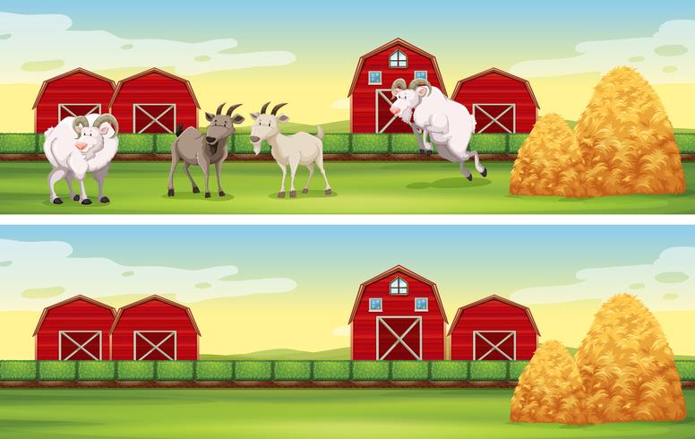 Escena de la granja con cabras y graneros. vector
