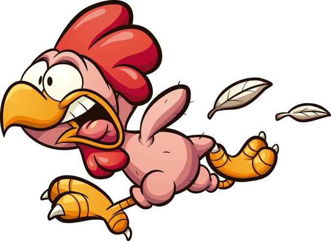 Plucked chicken vector