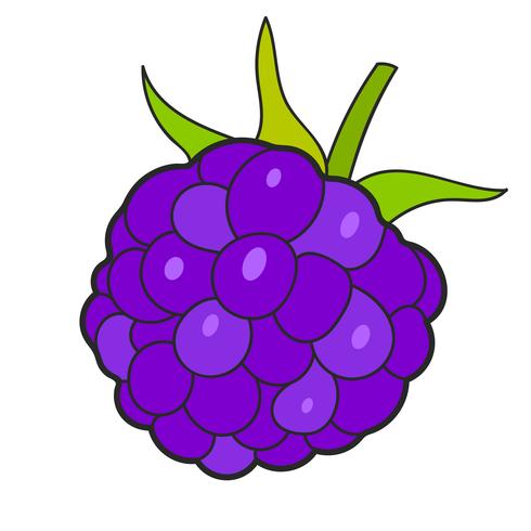 Raspberry Sketch Vector Ready For Your Design, Greeting Card