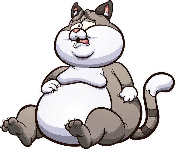  Fat  cat  Download Free Vectors Clipart Graphics Vector Art