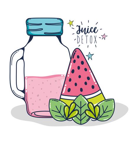 Desintoxicación jugo de frutas vector