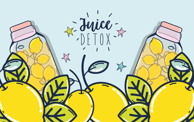 Desintoxicación jugo de frutas vector