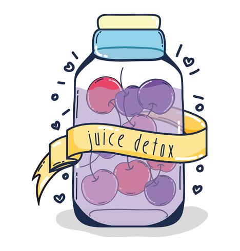 Desintoxicación jugo de frutas vector