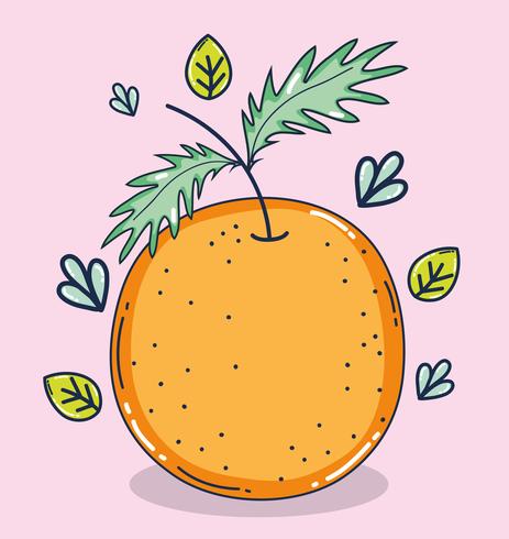 Orange fruit cartoon vector