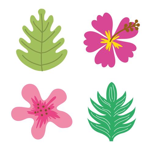 Flowers and leaves vector
