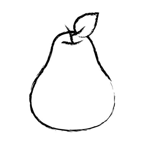 figure delicious pear organic fruit food