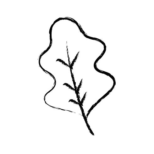 figure herb spice ingredient food taste vector