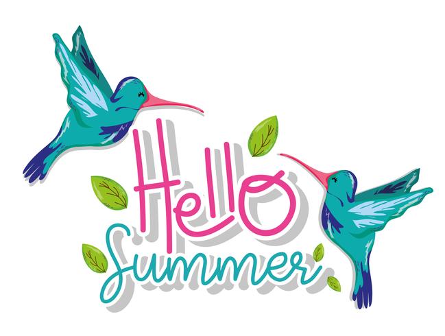 Hello summer card vector