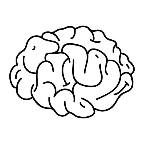 line human brain anatomy to creative and intellect vector