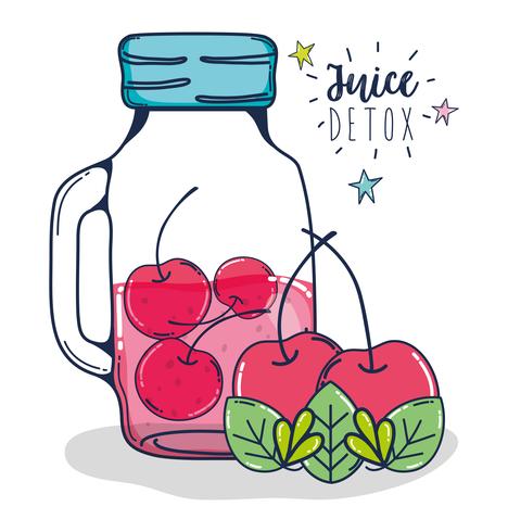 Desintoxicación jugo de frutas vector