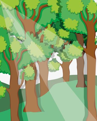 Beautiful forest scenery vector