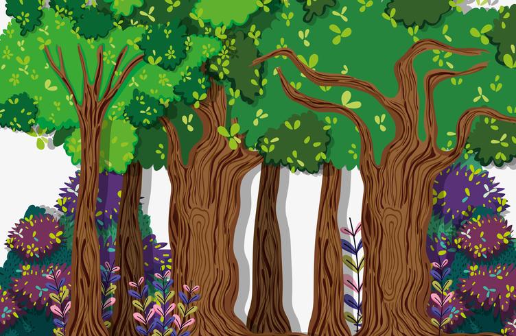 Beautiful forest scenery vector