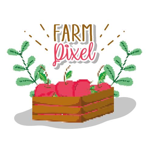 Farm pixel cartoons vector