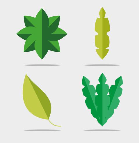 Set of leaves vector