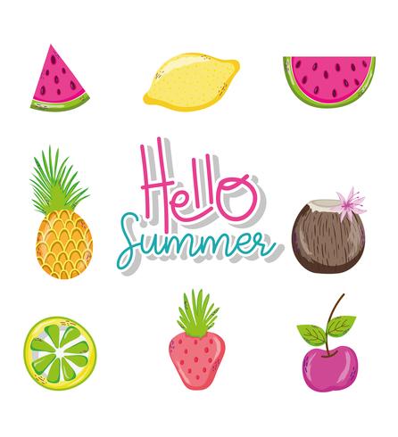 Hello summer cartoons vector