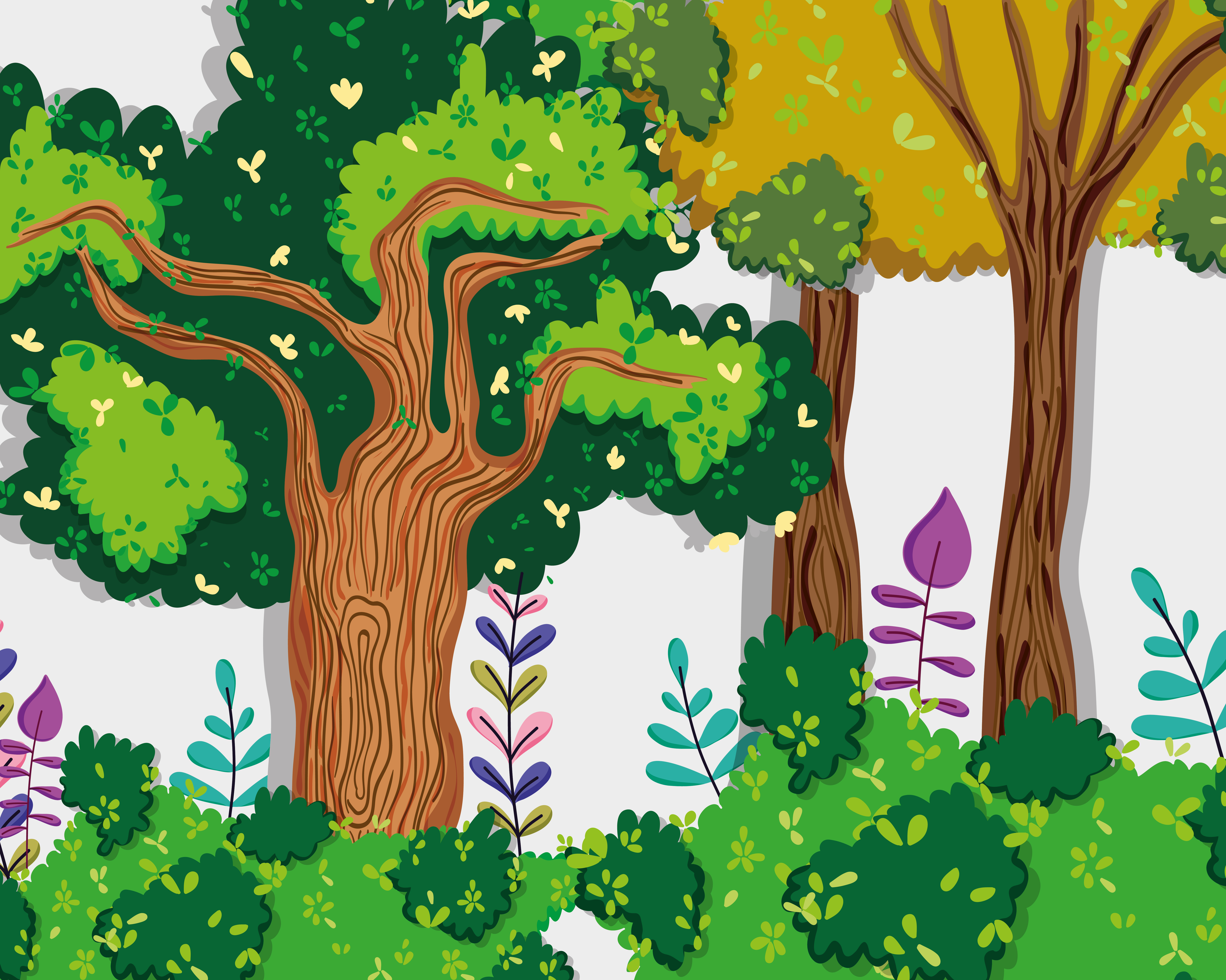 Download Beautiful forest scenery - Download Free Vectors, Clipart ...