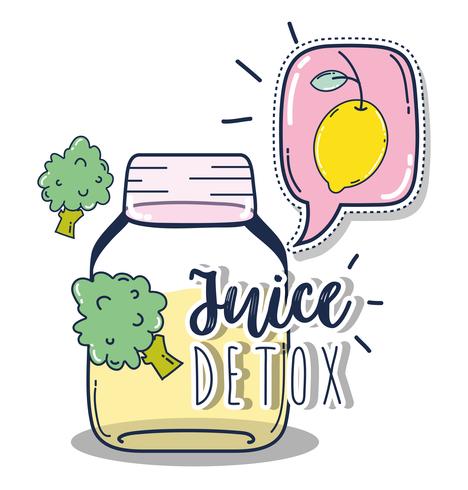 Desintoxicación jugo de frutas vector