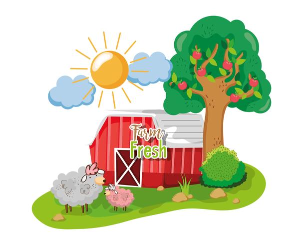 Beautiful farm cartoon vector