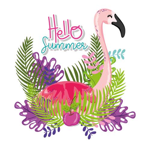 Hello summer card vector