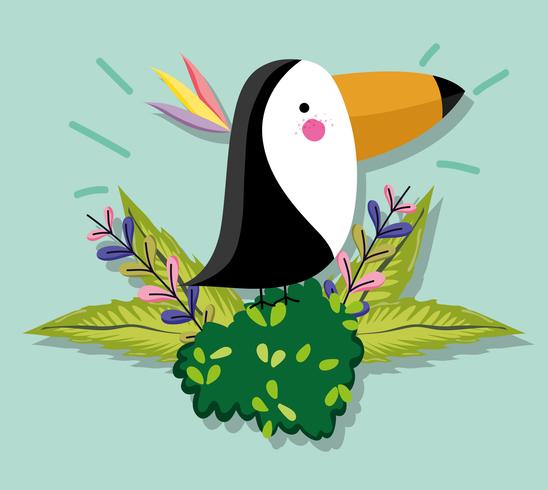 Cute tucan wildlife bird vector