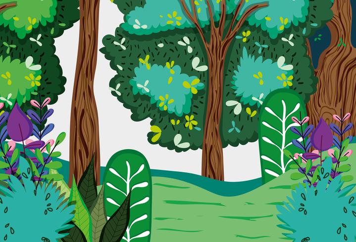 Beautiful forest scenery vector