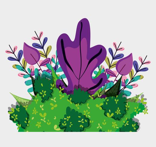 Forest flowers and leaves vector