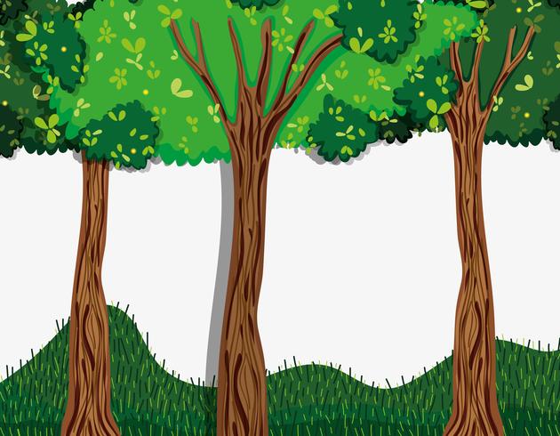 Beautiful forest scenery vector