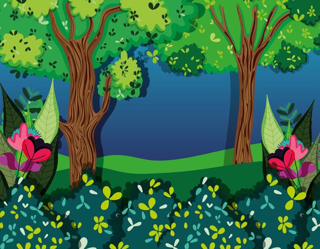 Beautiful forest at night vector