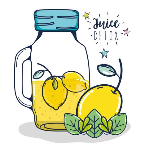 Desintoxicación jugo de frutas vector