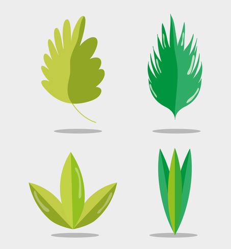 Set of leaves vector