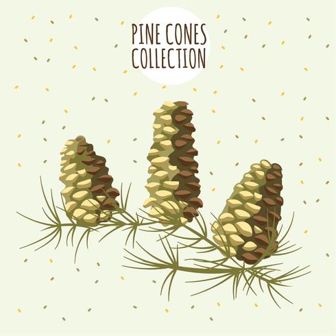 Brown pines cone on yellow background vector