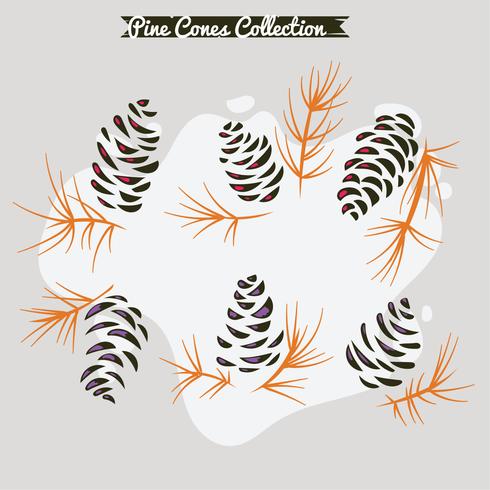 Colorful pine cones on pine branch vector