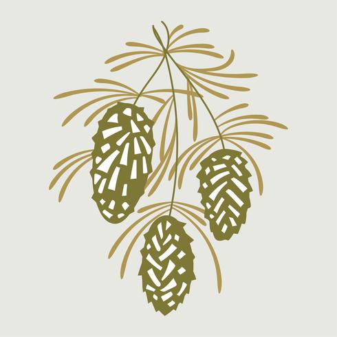 Pine cones on pine branch vector