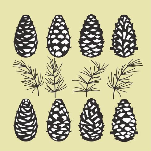 Pine cones Collection of Christmas tree branches with pine cones and mistletoe vector